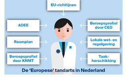 Aspecten van de 'Europese' tandarts in Nederland