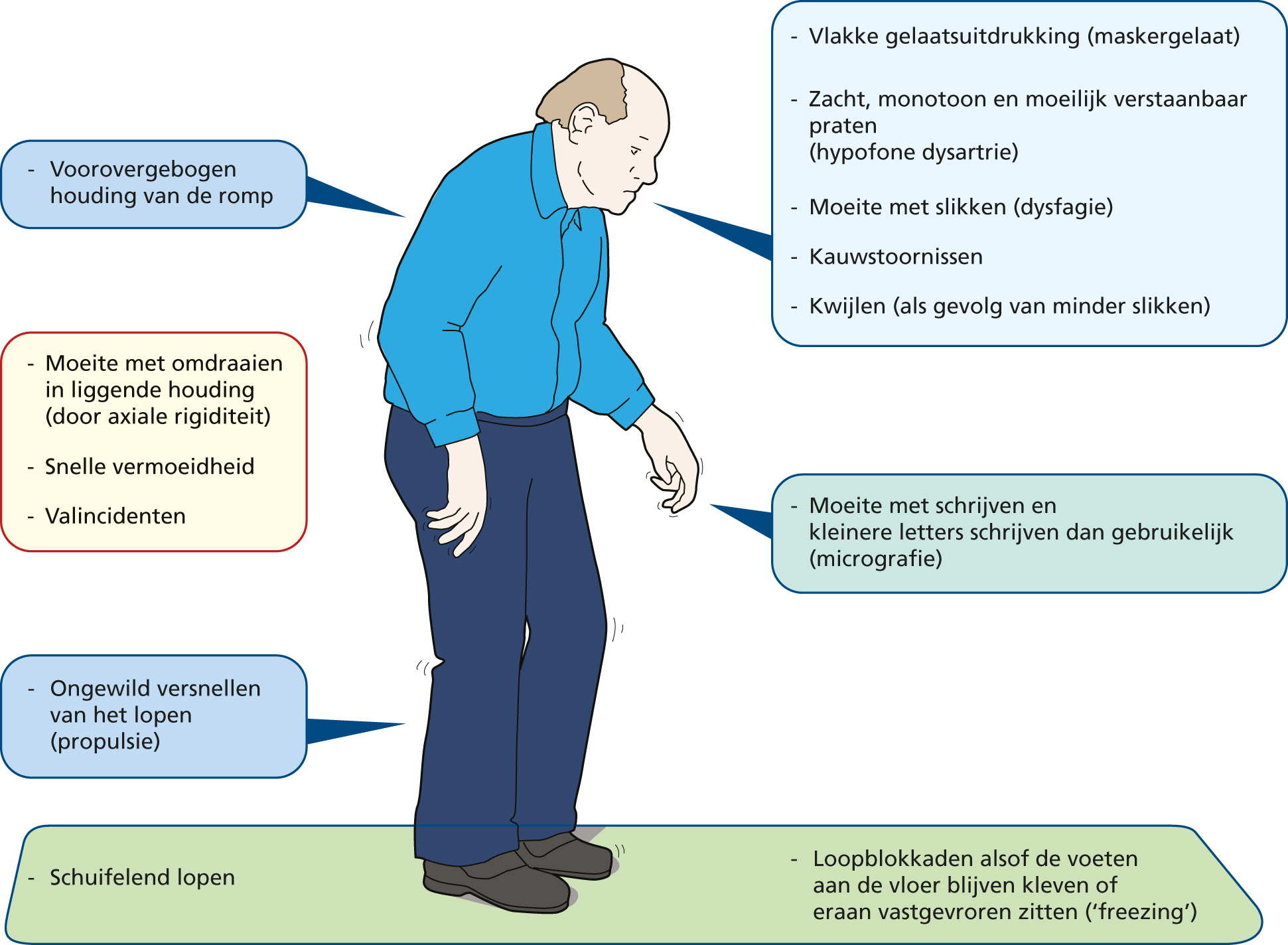 Ziekte Van Parkinson: Pathogenese, Etiologie, Symptomen, Diagnostiek En ...