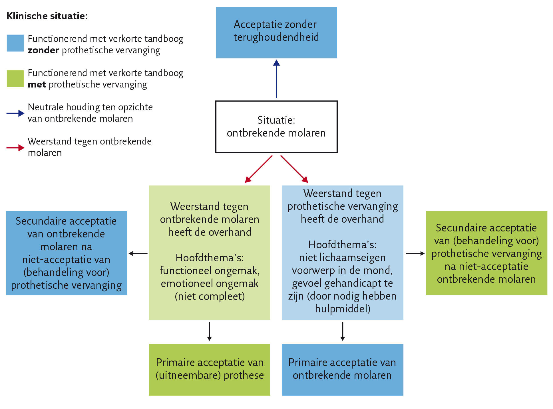 Schema houding patiënten tov ontbrekende molaren